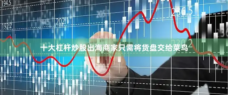 十大杠杆炒股出海商家只需将货盘交给菜鸟