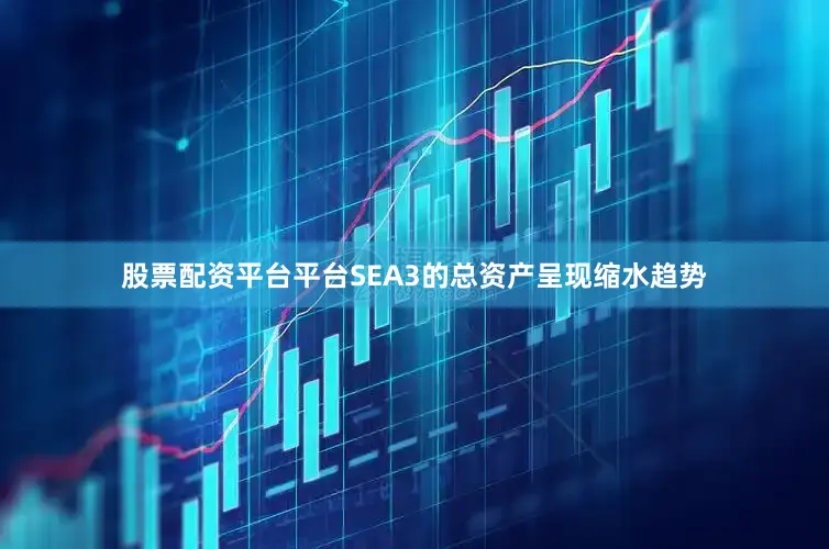 股票配资平台平台SEA3的总资产呈现缩水趋势