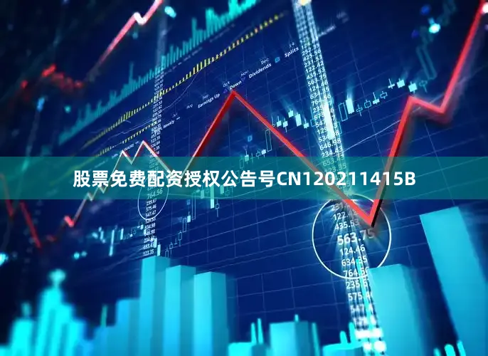 股票免费配资授权公告号CN120211415B