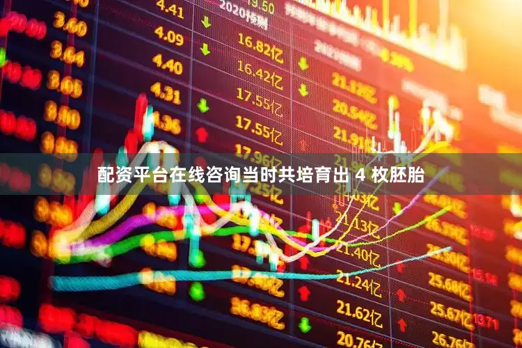 配资平台在线咨询当时共培育出 4 枚胚胎