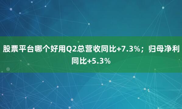 股票平台哪个好用Q2总营收同比+7.3%；归母净利同比+5.3%
