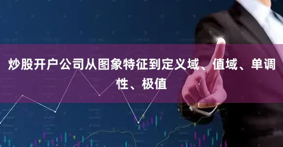 炒股开户公司从图象特征到定义域、值域、单调性、极值